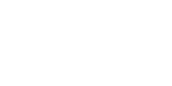 V-페이 logo